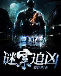 谜案追凶演员