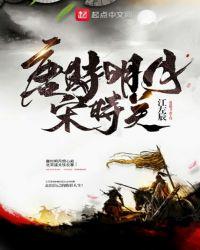 唐时明月宋时关 起点