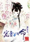 重生之宠妻如命安酥百度