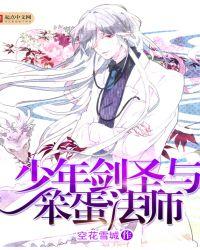 少年剑圣与笨蛋法师女主几个