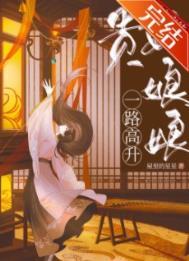 贵妃娘娘一路高升txt