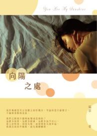 向阳之处游戏攻略