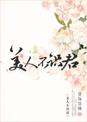 美人不识君讲了什么
