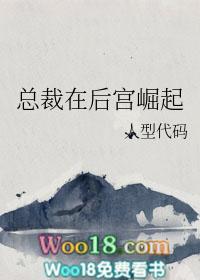 女总裁穿越后宫剧