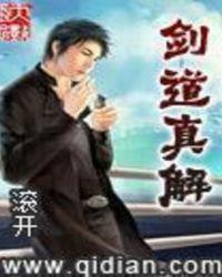 剑道真解多少字