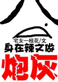 身在辣文当炮灰 时贝贝