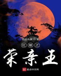 红楼之荣亲王起点中文网