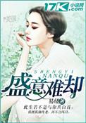 盛意意思是什么