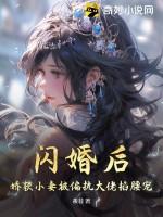 闪婚成瘾大佬娇妻宠上