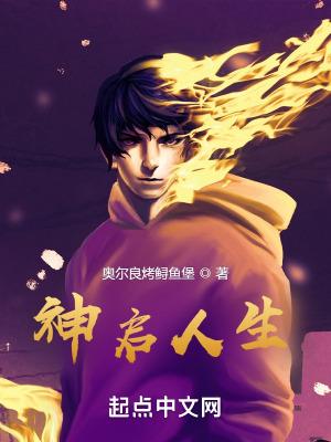 神启圣骑士图片