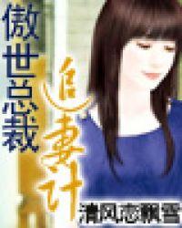 傲慢总裁追妻日常