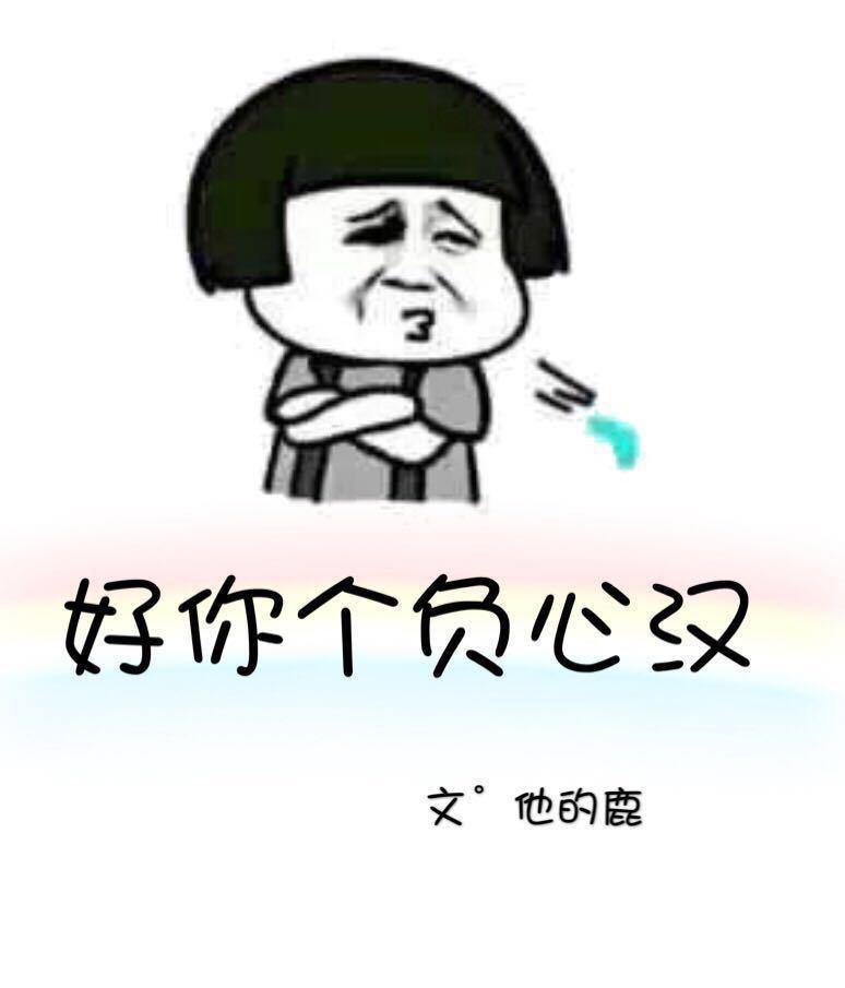 你这个负心汉下一句