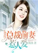 总裁前妻大全