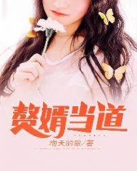 赘婿当道张泽