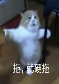 魅魔诞生的