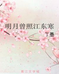 电视剧明月曾照江东寒