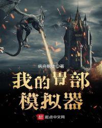 我的胃部模拟器安装
