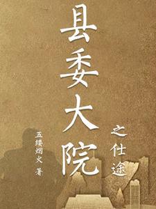 县委大院之仕途 徐远舟