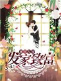 重生八零发家致富风芒txt