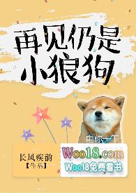 再见仍是小狼狗长疾韵