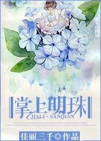 掌上明珠定制衣柜多少钱一平方