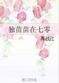 类似独苗苗在七零的文
