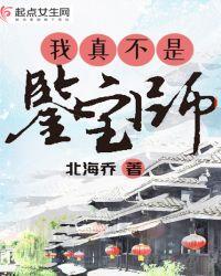 我真不是鉴宝师txt