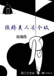 傲娇夫人是个攻的攻是谁