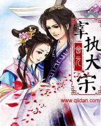 宰执大宋 会元