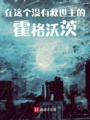霍格沃茨不需要什么救世主无防盗