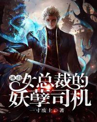冰山女总裁的顶级高手中国
