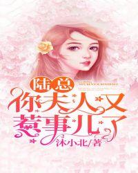 陆总夫人又要离婚了
