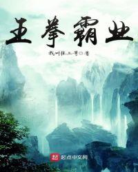 霸王拳大招