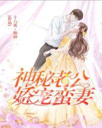 神秘老公娇宠蛮妻全文阅读
