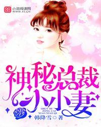 神秘总裁的小小妻txt