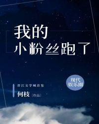 我的小粉丝翻译英文
