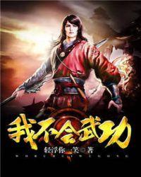 我不会武功txt