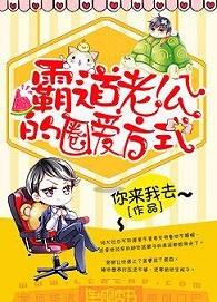 霸道老公的圈爱方式讲的什么