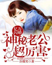 神秘老公超给力全文免费阅读