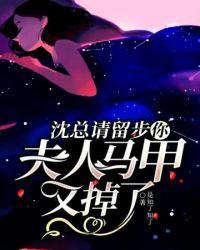 全网都在扒沈夫人马甲