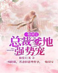 一胎双宝总裁爹地强势宠全文免费阅读