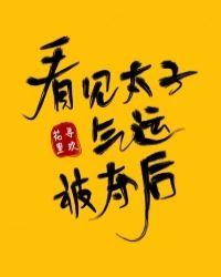 看见太子气运被夺后奇书网