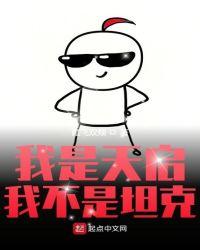 我是天启王