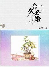 合久必婚你好吴先生免费阅读