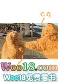 爱情买卖是哪一年发行的