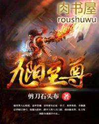 九阳至尊修炼体系详解