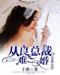 从良总裁难二婚 聚合中文网