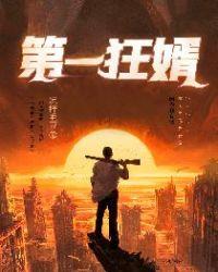 第一狂婿下部是什么