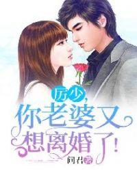 厉少你老婆又想离婚了免费阅读