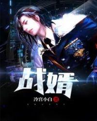 战婿归来免费观看全集